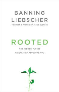 Rooted book review - Liebscher is honest in his writing, and includes personal examples throughout Rooted. He also includes plenty of Scriptural backing. This is a good read for a Christian, or someone who is interested in learning more about Christianity.