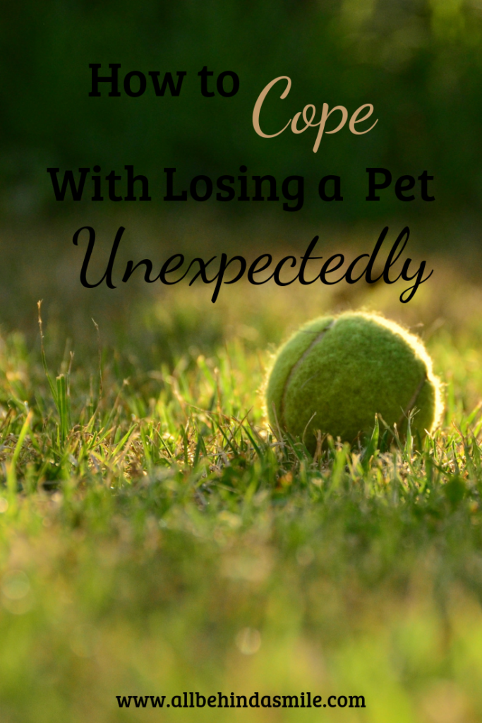 How to Cope with Losing a Pet Unexpectedly