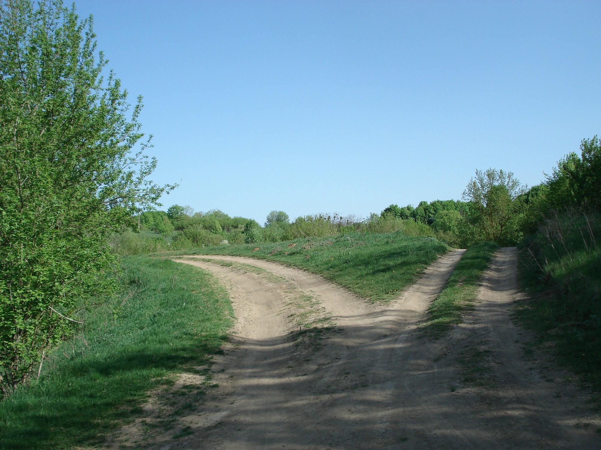 A dirt road splitting into two roads with grass and trees surrounding