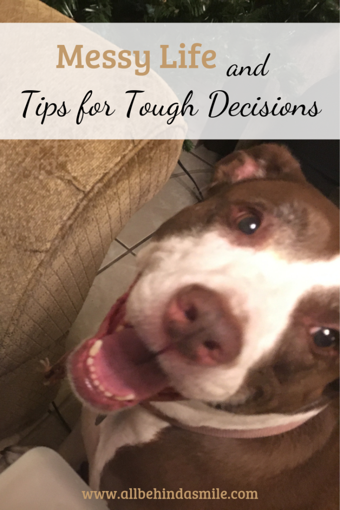 Messy Life and Tips for Tough Decisions over image of Elki, the dog