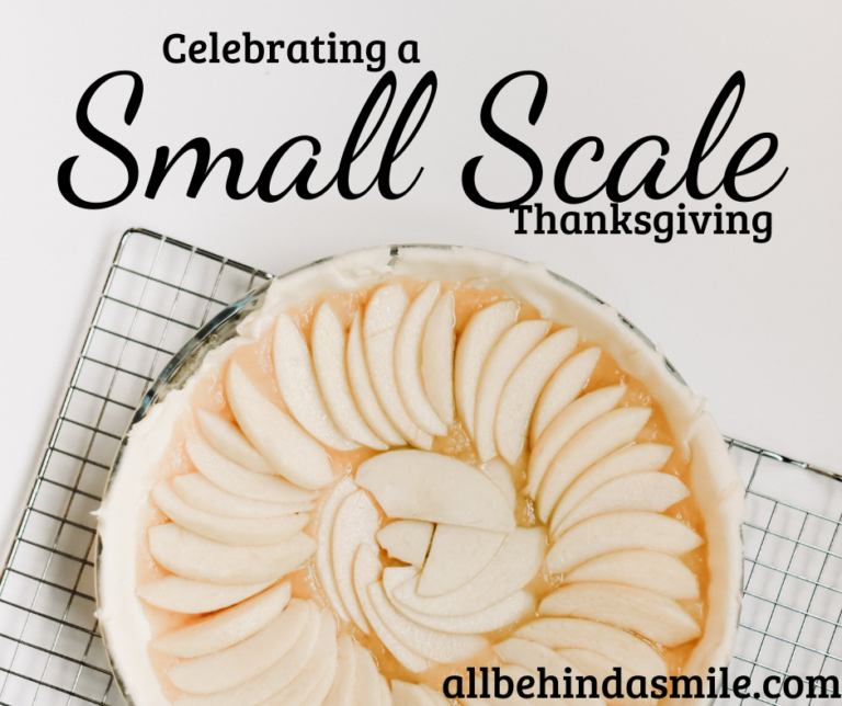 Small Scale Thanksgiving