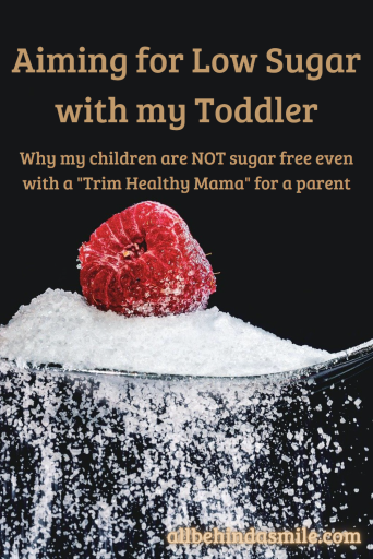 A raspberry on a spoonful of sugar over a dark background with the text "Aiming for low sugar with my toddler why my children are NOT sugar free even with a "trim healthy mama" for a parent