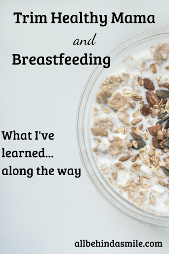 Trim Healthy Mama and Breastfeeding what I've learned along the way over Pale background with image of a bowl of oats in milk