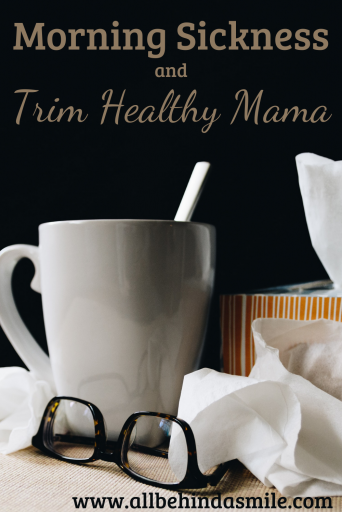 Morning Sickness and Trim Healthy Mama