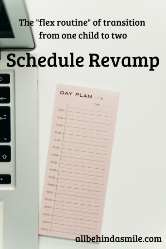 Side of a silver laptop beside a white notepad that says day plan on a white background with the text "the 'flex routine' transition of one child to two" "schedule revamp"