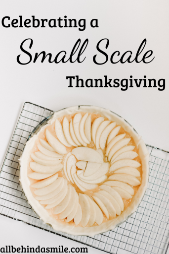 Small Scale Thanksgiving