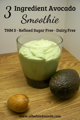 3 Ingredient Avocado Smoothie - THM S, Refined Sugar Free, Dairy Free
