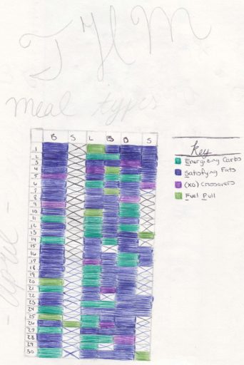 Trim Healthy Mama Fuel Type Bullet Journal Tracker